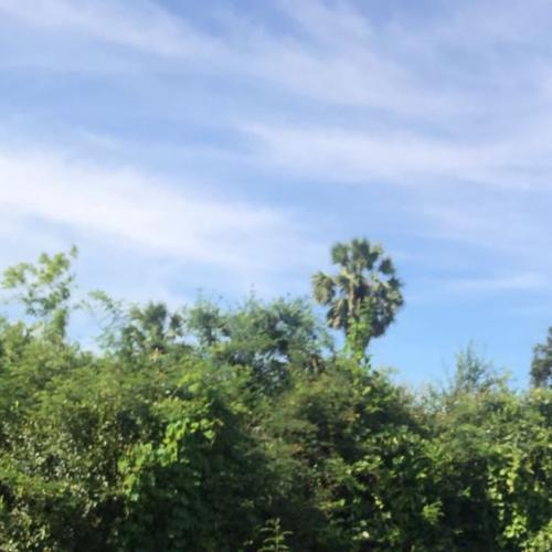 สมาชิกหมายเลข 5935917