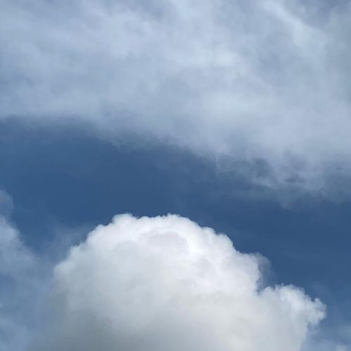 สมาชิกหมายเลข 6123466