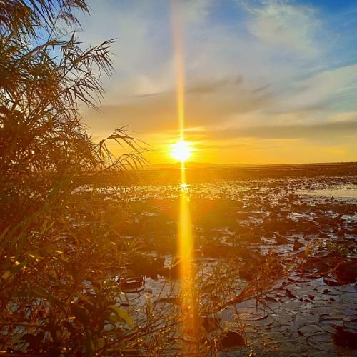 สมาชิกหมายเลข 5049970