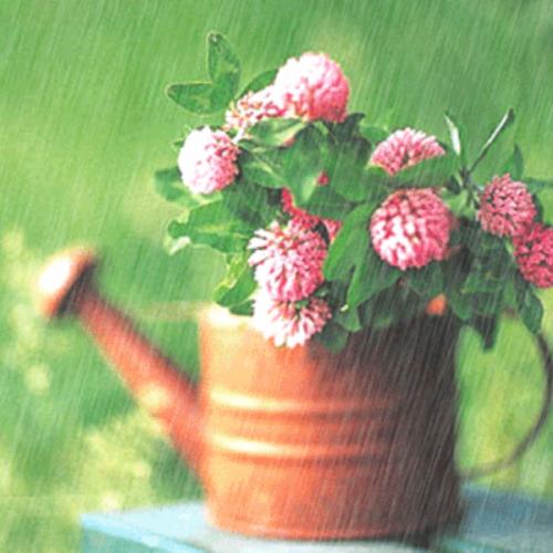 สมาชิกหมายเลข 3958878