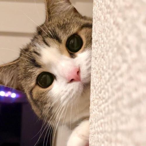 สมาชิกหมายเลข 7513556