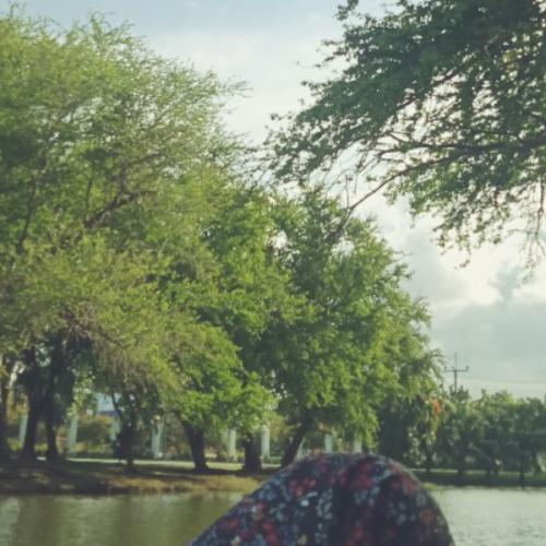 สมาชิกหมายเลข 7513764