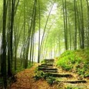 สมาชิกหมายเลข 3778824