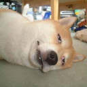 สมาชิกหมายเลข 4441205