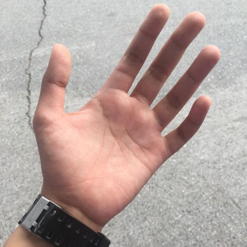 สมาชิกหมายเลข 4355345