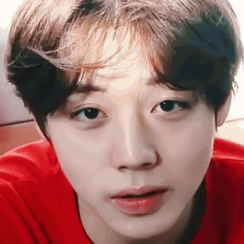 สมาชิกหมายเลข 4784335