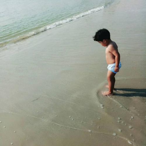 สมาชิกหมายเลข 4346532