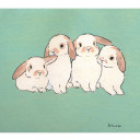 สมาชิกหมายเลข 5162283