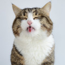 สมาชิกหมายเลข 5565749