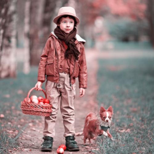 สมาชิกหมายเลข 6001836