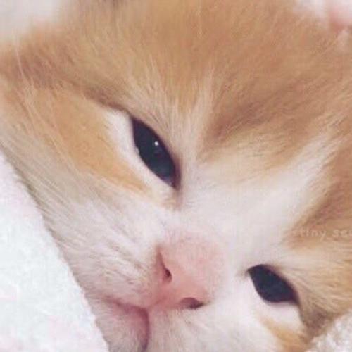 สมาชิกหมายเลข 6109576