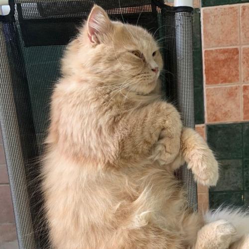 สมาชิกหมายเลข 6748406