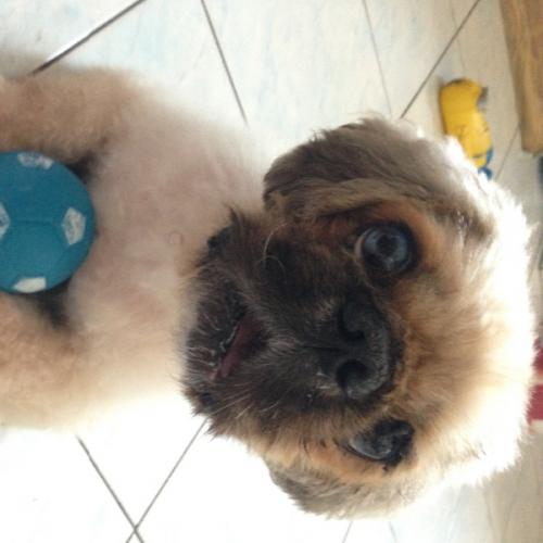 สมาชิกหมายเลข 2349328