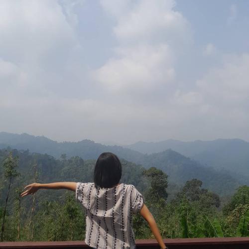 สมาชิกหมายเลข 4514203