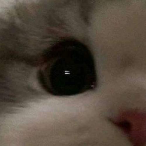 สมาชิกหมายเลข 6485021