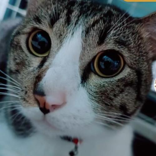 สมาชิกหมายเลข 7487141