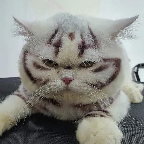 สมาชิกหมายเลข 7514047