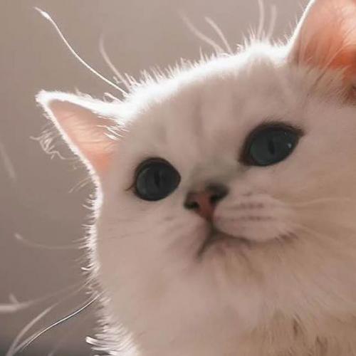 สมาชิกหมายเลข 8423113