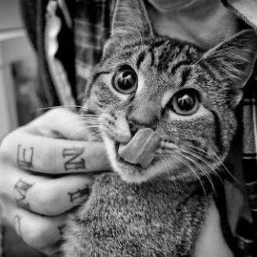 สมาชิกหมายเลข 3965733