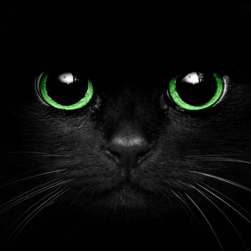 สมาชิกหมายเลข 4784718