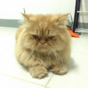 สมาชิกหมายเลข 5162555