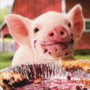 สมาชิกหมายเลข 1942079