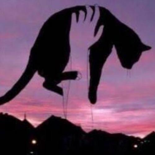 สมาชิกหมายเลข 2146424