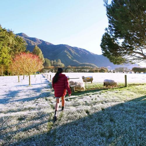 สมาชิกหมายเลข 3961722