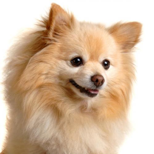 สมาชิกหมายเลข 3752132