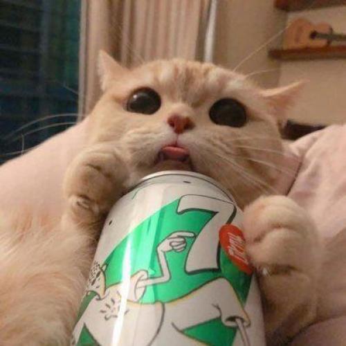 สมาชิกหมายเลข 6124397