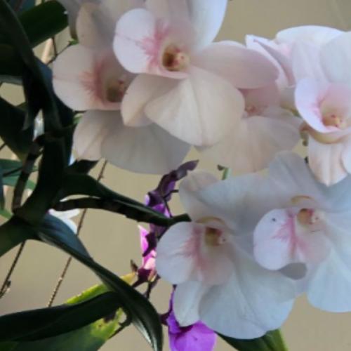 สมาชิกหมายเลข 5889811