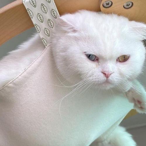 สมาชิกหมายเลข 6325379