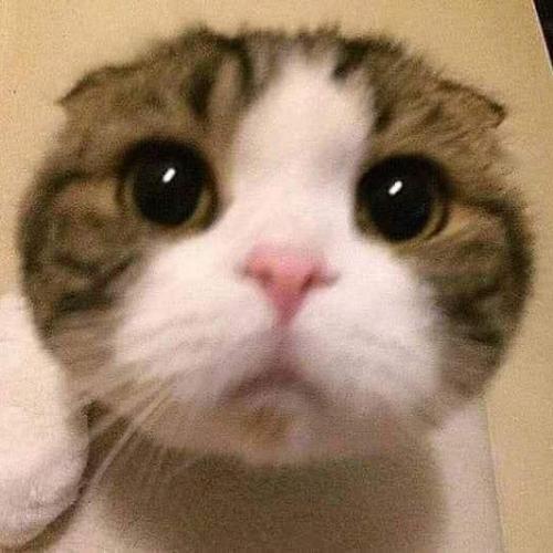 สมาชิกหมายเลข 5881065