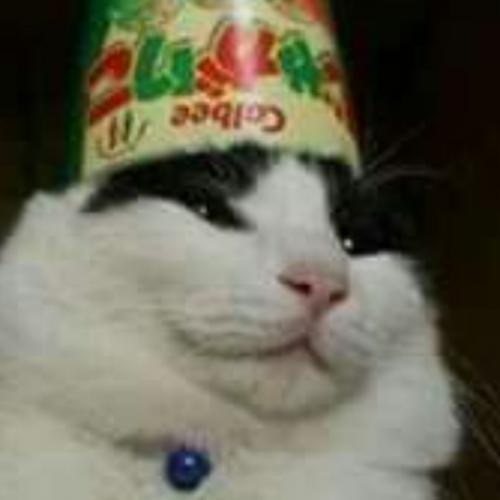 สมาชิกหมายเลข 7514758