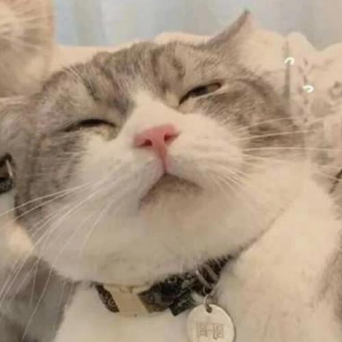 สมาชิกหมายเลข 7515103