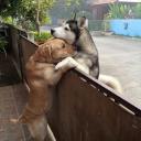 สมาชิกหมายเลข 1703701