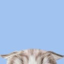 สมาชิกหมายเลข 3533171