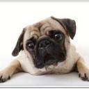 สมาชิกหมายเลข 3959714