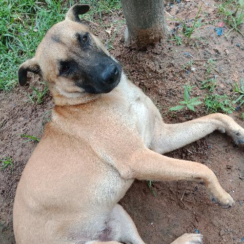 สมาชิกหมายเลข 4771236