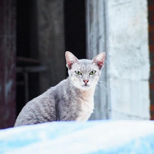 สมาชิกหมายเลข 4131514