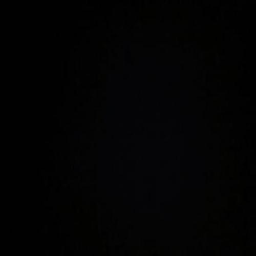 สมาชิกหมายเลข 4599817