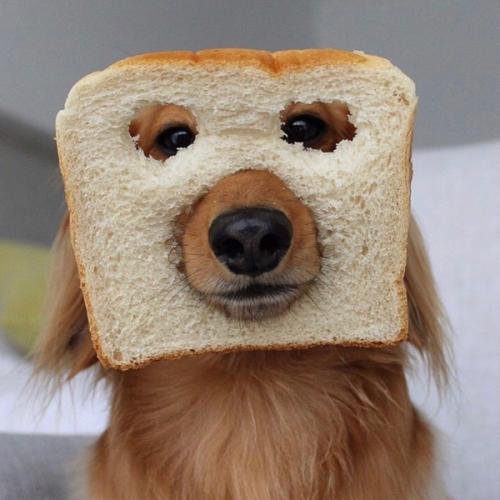 สมาชิกหมายเลข 5545623