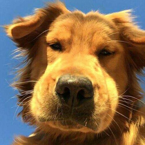 สมาชิกหมายเลข 5566610