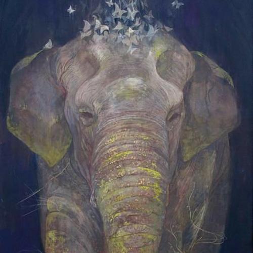 สมาชิกหมายเลข 5566647