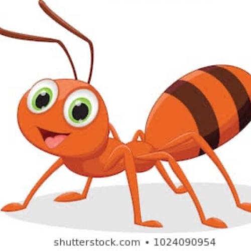 สมาชิกหมายเลข 1350428