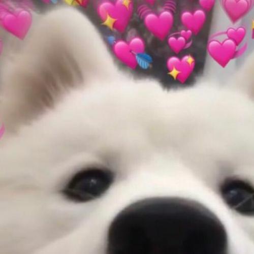 สมาชิกหมายเลข 2192688