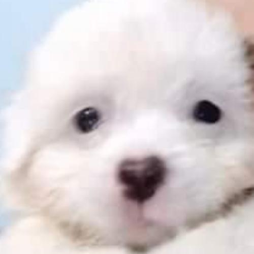 สมาชิกหมายเลข 6749768