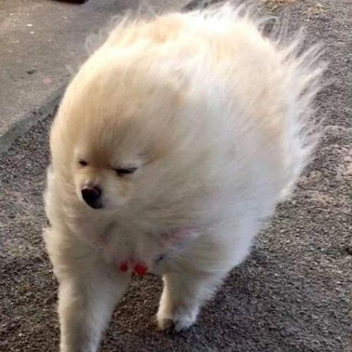 สมาชิกหมายเลข 7593215