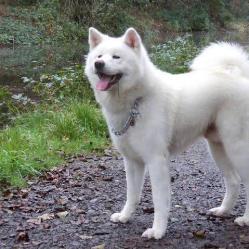 สมาชิกหมายเลข 4294060