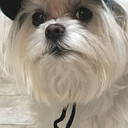 สมาชิกหมายเลข 897213